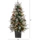  4ft. Frosted Artificial Christmas Tree Pre-Lit with 105 LED light