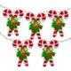  10 Count Candy Cane Christmas Light With Wire Set, 6′