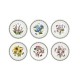  Botanic Garden Dinner Plates, Assorted Set of 6 – White