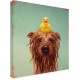 Trademark Fine Art Bath Time by Lucia Hefferna, 24×24, Brown