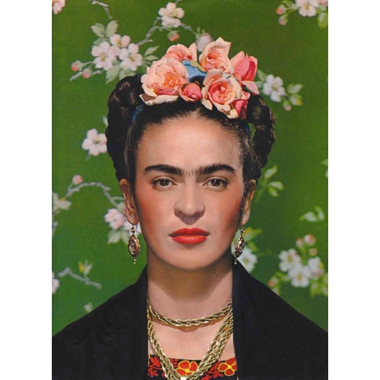 I Will Never Forget You  Frida Kahlo and Nickolas Muray (Paperback)