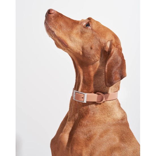  Collar for Dogs, Brown, Small