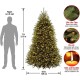 National Tree 7′ Dunhill Fir Hinged Tree with 700 Clear Lights