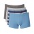 Gray/Blue