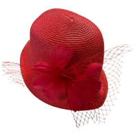August Hat Company Cloche W/feather And Net, Red