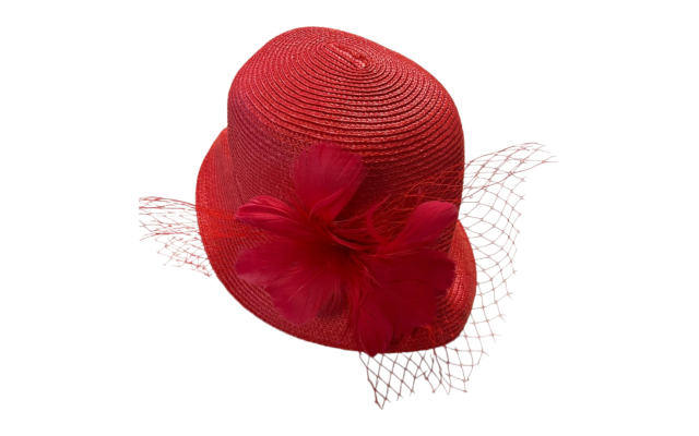  Cloche W/feather And Net, Red