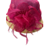  Wheat Straw Brim Hat, Pink