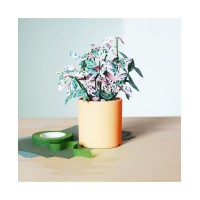 Baltic Club Polka-dot Plant Kit, Yellow