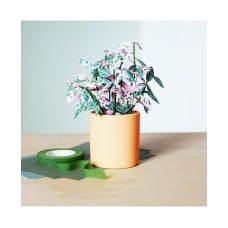 Baltic Club Polka-dot Plant Kit, Yellow