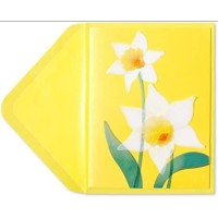 Beautiful Papyrus Blank Card, Yellow