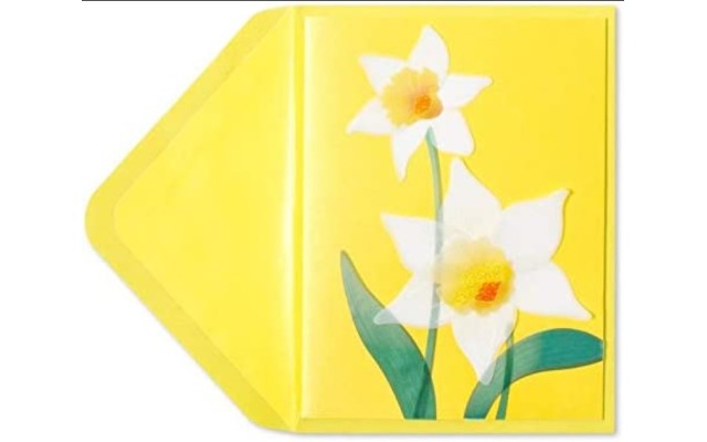 Beautiful  Blank Card, Yellow