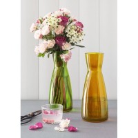 Bormioli Rocco Ypsilon Lime Green Glass Jug 18.5 Ounce