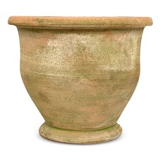 Botanical Collections Potier Clay Pot, Verde Natural