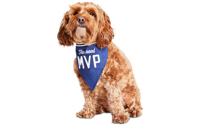  The Real Mvp Dog Bandana, Navy, 9” x 6”