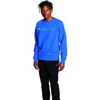Champion Mens Crew Neck Long Sleeve Sweatshirt, Blue, Small