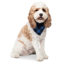 Collection Xiix Buffalo Plaid Pet Bandanas, Blue