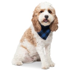 Collection Xiix Buffalo Plaid Pet Bandanas