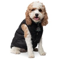 Collection Xiix Pet Puffer Coat, Black, Small