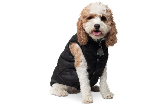 Collection Xiix Pet Puffer Coat, Black, Small
