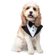 Collection Xiix Tuxedo Dog Bandana (Black/White)