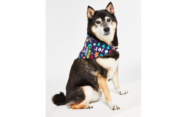  Matching Holiday Toss Cotton Pet Bandana, Navy, S-M