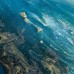  Rolling Waves Canvas Print Set