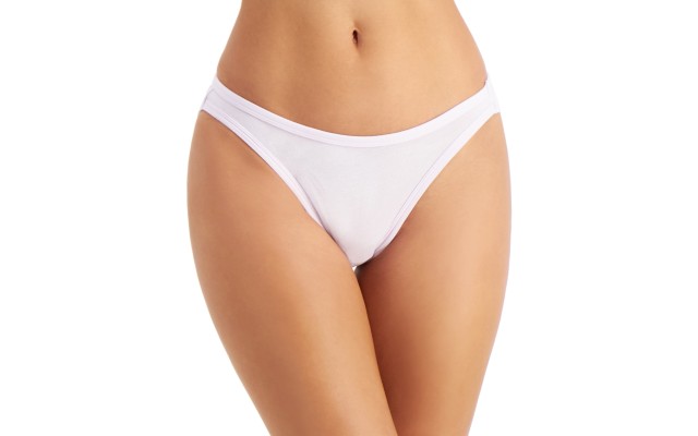  Women’s Bikini Underwear, Lavender Fog, XXX-Large