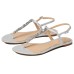  Dafina Thong Flat Sandals, Silver, 6.5