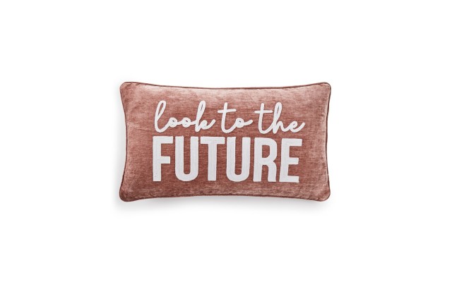  Look to The Future Pillow, Blush, 14 x 24