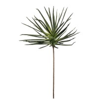 Marshall Home & Garden 5 Pack Green Spike Stem Decorations