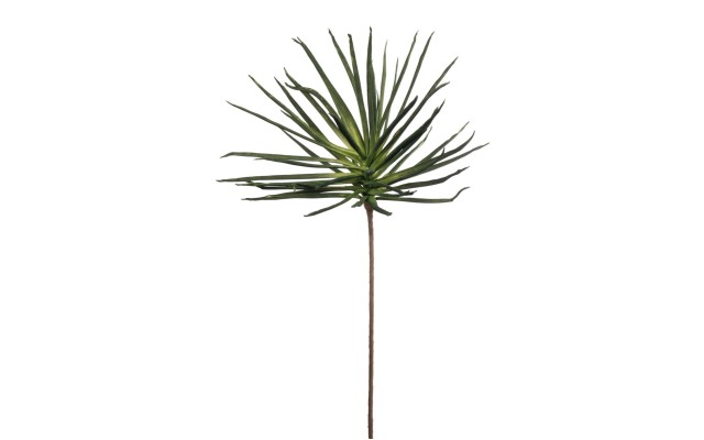 Marshall Home & Garden 5 Pack Green Spike Stem Decorations