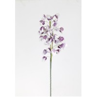 Marshall Home & Garden Plant With Flowing Lilac White Flowers