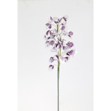 Marshall Home & Garden Plant With Flowing Lilac White Flowers