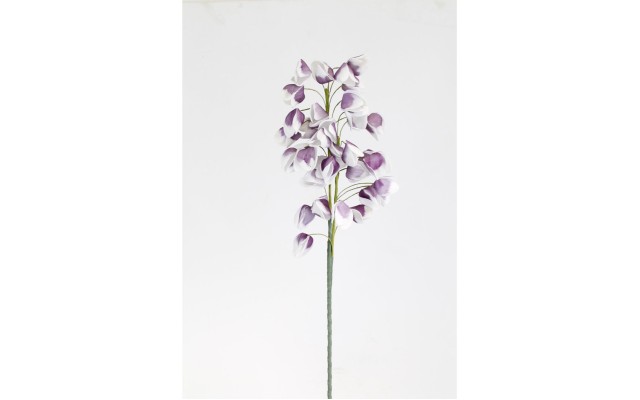 Marshall Home & Garden Plant With Flowing Lilac White Flowers