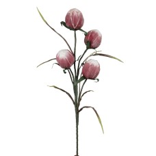 Marshall Home & Garden Stem With Four Large Pink Bulbs, 40″H x 8″W