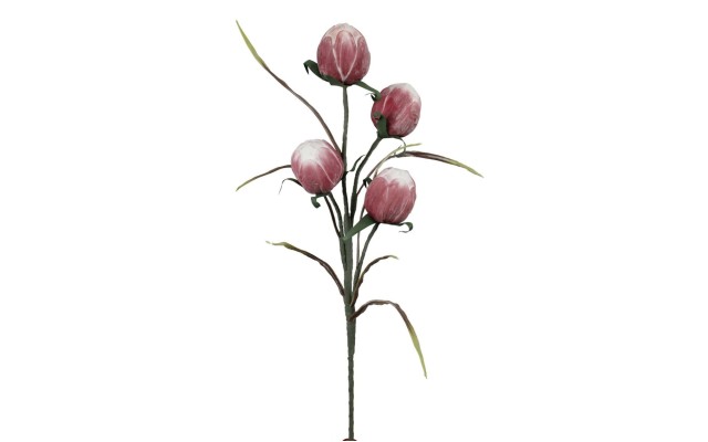 Marshall Home & Garden Stem With Four Large Pink Bulbs, 40″H x 8″W