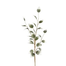 Marshall Home & Garden Stem With Small Green/White Leaves