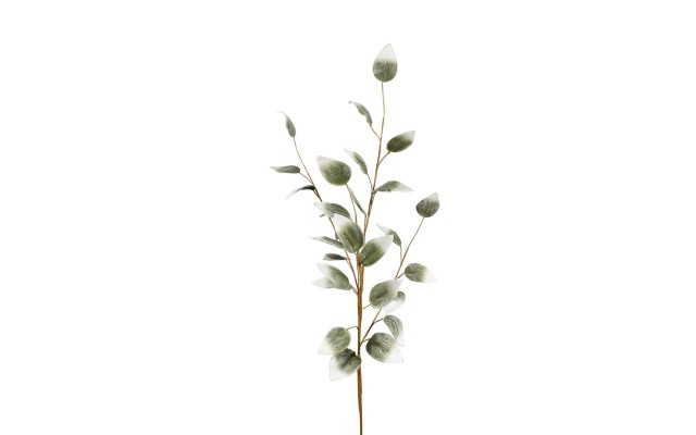Marshall Home & Garden Stem With Small Green/White Leaves