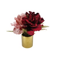 Martha Stewart Blush Eucalyptus Potted Arrangement
