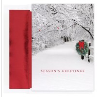 Masterpiece Cards Snow Scene Holiday Boxed Cards
