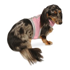 My Canine Kids Athletic Mesh Vests