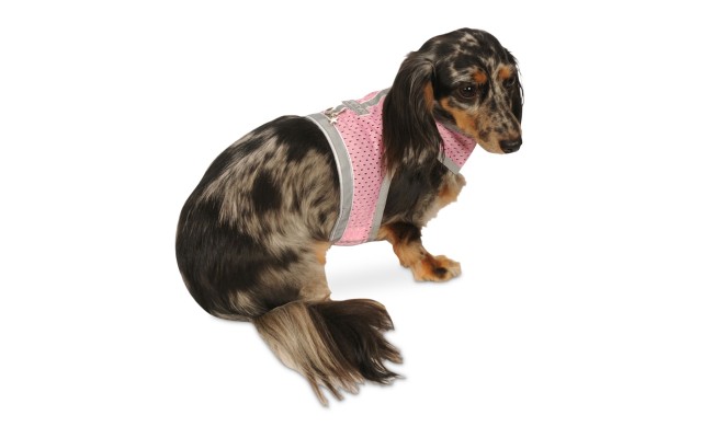My Canine Kids Athletic Mesh Vests, Pink, 2