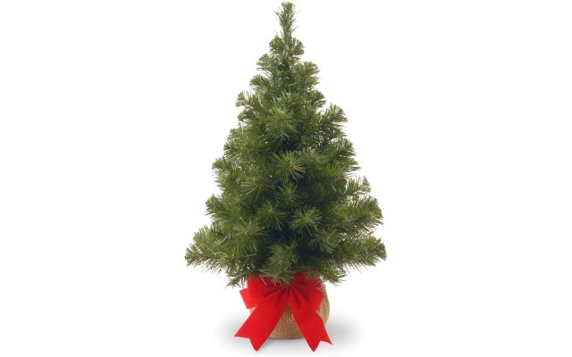 National Tree 2 Foot Noble Spruce Tree with Burlap Bag (NB1-20BP-1)