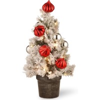 National Tree Company 2-ft. Pre-Lit Snowy Bristle Pine Artificial Christmas Tree
