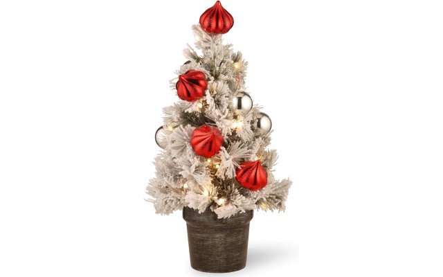  2-ft. Pre-Lit Snowy Bristle Pine Artificial Christmas Tree