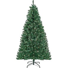 National Tree Company 6 ft. Acacia Tree with Clear Lights, Green
