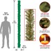  Company Pre-Lit Artificial Christmas Garland, Green, Norwood Fir, White Lights, Plug In, Christmas Collection, 9 Feet