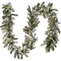 National Tree Company Pre-Lit Artificial Christmas Garland, Green, Snowy Green, White Lights, Decorated With Frosted Branches, Plug In, Christmas Collection, 9 Feet