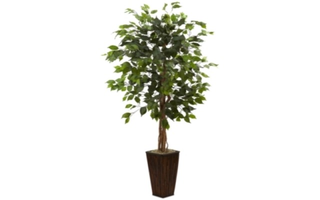  5.5 Ficus Artificial Tree In Green No Size