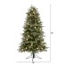  5ft. Flocked Whistler Mountain Fir Artificial Christmas Tree